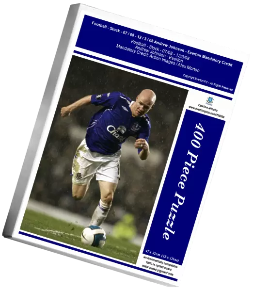 Football - Stock - 07  /  08 - 12  /  3  /  08 Andrew Johnson - Everton Mandatory Credit