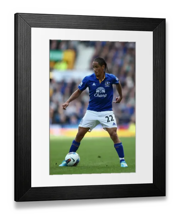 Framed Print : Steven Pienaar's Dramatic Victory: Everton's Thrilling Comeback Against Newcastle United (13 May 2012, Goodison Park)