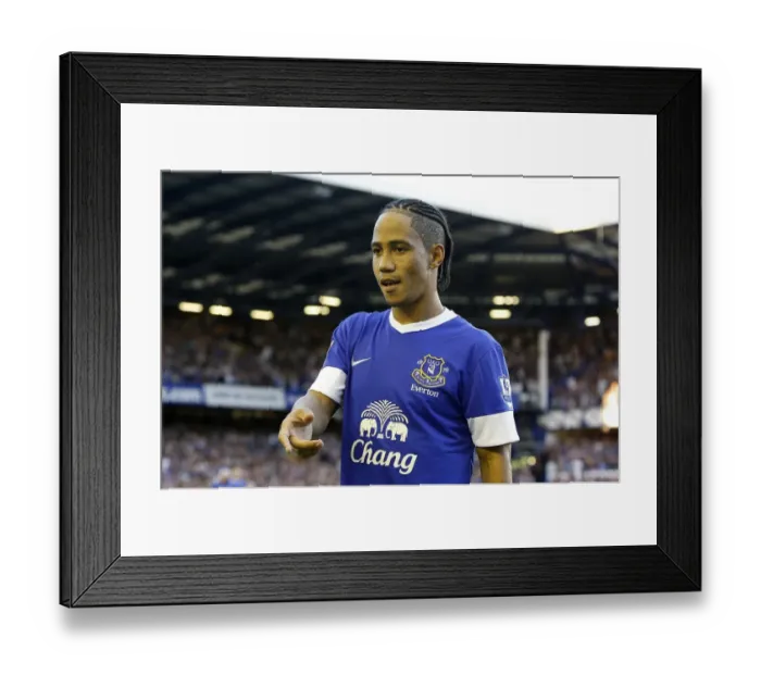 Framed Print : Steven Pienaar's Stunner: Everton 1-0 Manchester United (Premier League 2012-13, Goodison Park)
