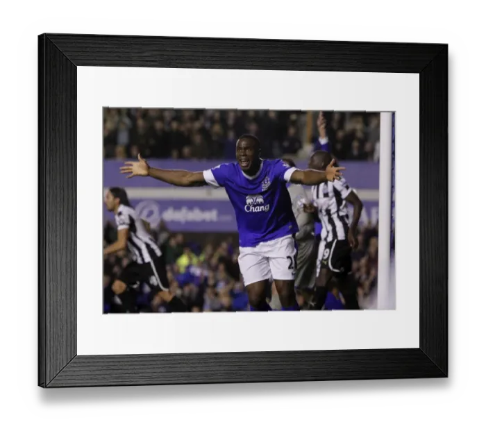 Framed Print : Anichebe's Controversial Disallowed Goal: Everton vs Newcastle United (17-09-2012) Framed Print : Anichebe's Controversial Disallowed Goal: Everton vs Newcastle United (17-09-2012)