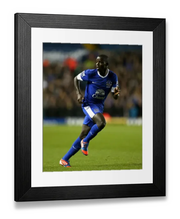 Framed Print : Francisco Junior's Dramatic Winner: Everton Triumphs Over Leeds United in Capital One Cup Framed Print : Francisco Junior's Dramatic Winner: Everton Triumphs Over Leeds United in Capital One Cup