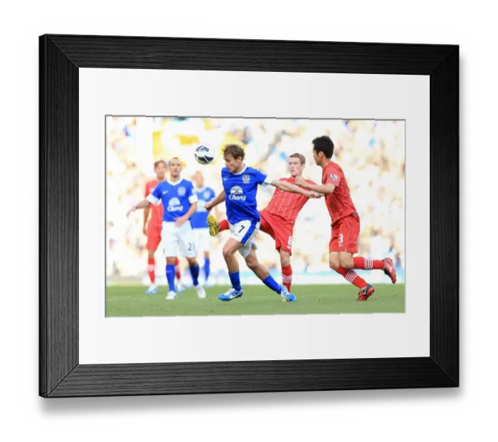 Framed Print : Jelavic vs Davis: A Battle for the Ball in Everton's 3-1 Victory over Southampton (September 29, 2012, Barclays Premier League, Goodison Park) Framed Print : Jelavic vs Davis: A Battle for the Ball in Everton's 3-1 Victory over Southampton (September 29, 2012, Barclays Premier League, Goodison Park)