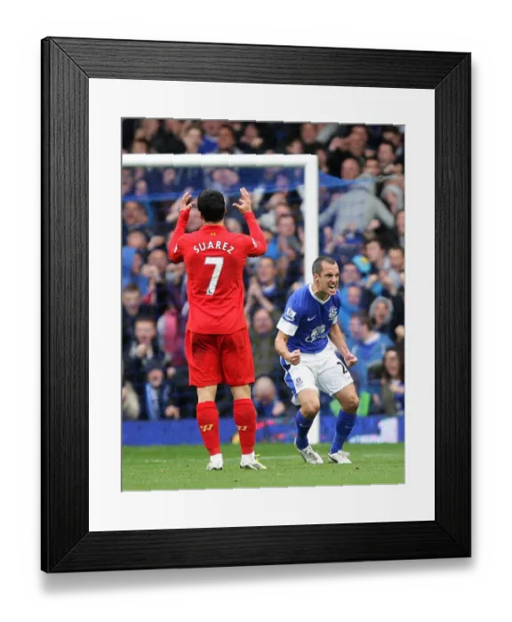 Framed Print : Suarez's Disappointment as Osman Scores: Everton vs Liverpool, Barclays Premier League (28-10-2012) Framed Print : Suarez's Disappointment as Osman Scores: Everton vs Liverpool, Barclays Premier League (28-10-2012)