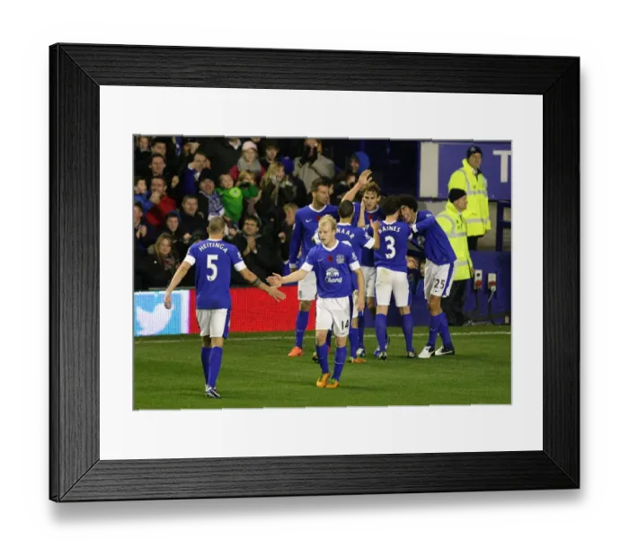 Framed Print : Jelavic Scores Everton's Second Goal Against Sunderland in Barclays Premier League (10-11-2012) Framed Print : Jelavic Scores Everton's Second Goal Against Sunderland in Barclays Premier League (10-11-2012)