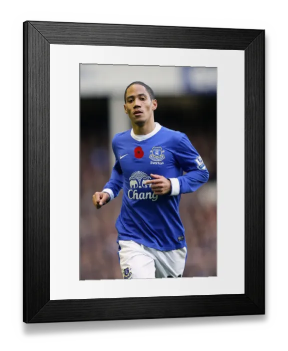 Framed Print : Steven Pienaar's Brilliant Goal: Everton's Victory Against Sunderland (BPL 10-11-2012)