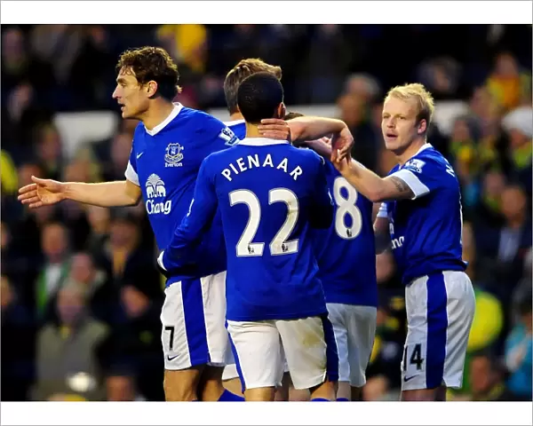 Barclays Premier League - Everton v Norwich City - Goodison Park