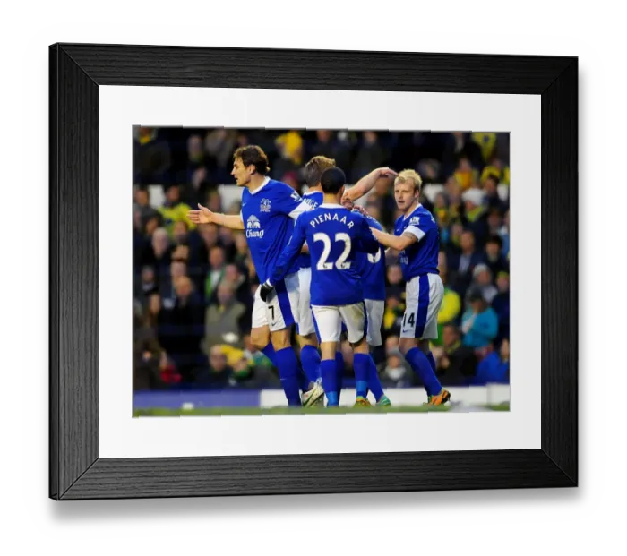 Framed Print : Naismith's Equalizer: Everton vs Norwich City - 1-1 Draw at Goodison Park Framed Print : Naismith's Equalizer: Everton vs Norwich City - 1-1 Draw at Goodison Park
