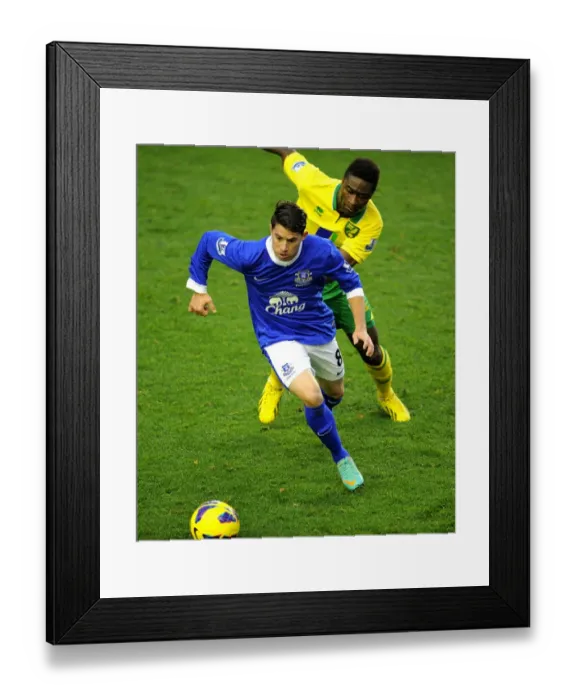 Framed Print : Battle for the Ball: Oviedo vs. Tettey - Everton vs. Norwich City Rivalry (Barclays Premier League, Goodison Park, 24-11-2012) Framed Print : Battle for the Ball: Oviedo vs. Tettey - Everton vs. Norwich City Rivalry (Barclays Premier League, Goodison Park, 24-11-2012)