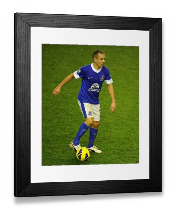 Framed Print : Leon Osman Shines in Draw: Everton vs Norwich City at Goodison Park (24-11-2012) Framed Print : Leon Osman Shines in Draw: Everton vs Norwich City at Goodison Park (24-11-2012)
