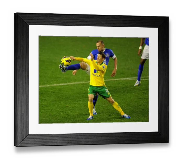 Framed Print : Battle for the Ball: Heitinga vs. Hoolahan - Everton vs. Norwich City, Premier League (1-1), Goodison Park (November 24, 2012) Framed Print : Battle for the Ball: Heitinga vs. Hoolahan - Everton vs. Norwich City, Premier League (1-1), Goodison Park (November 24, 2012)