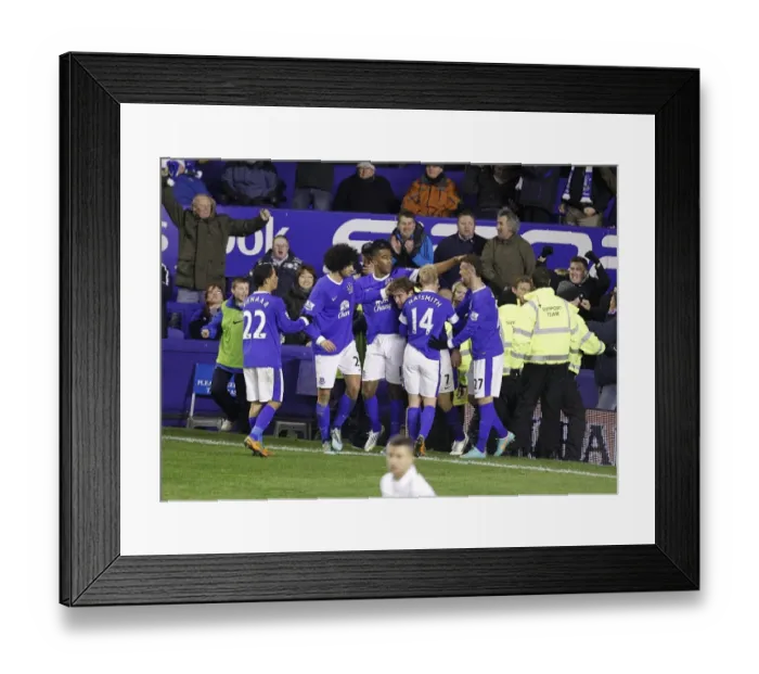 Framed Print : Jelavic Scores Everton's Second: Everton 2-1 Tottenham Hotspur (BPL, Goodison Park, 09-12-2012) Framed Print : Jelavic Scores Everton's Second: Everton 2-1 Tottenham Hotspur (BPL, Goodison Park, 09-12-2012)