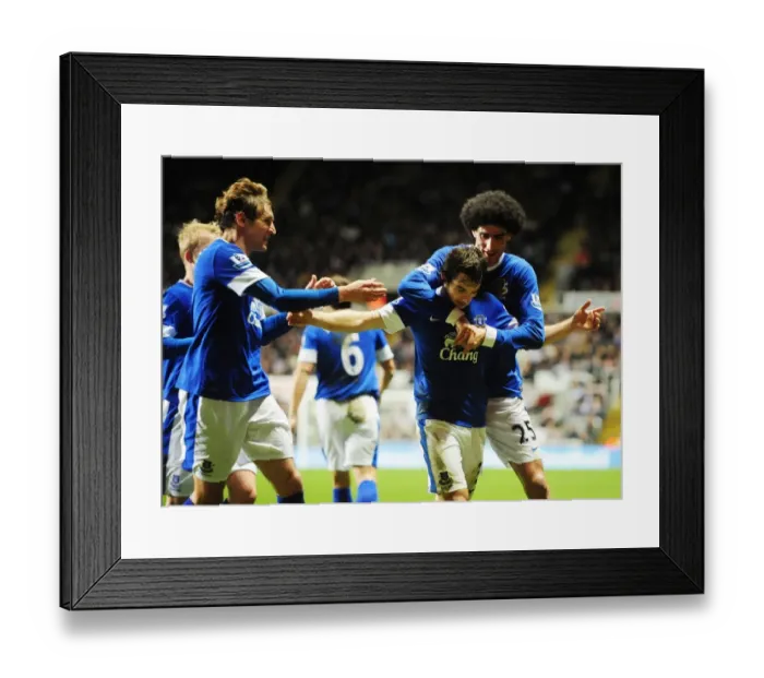Framed Print : Leighton Baines's Stunner: Everton's 2-1 Win at Newcastle United (BPL, 02-01-2013)