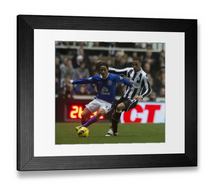 Framed Print : Battle for the Ball: Perch vs. Pienaar in Intense Newcastle-Everton Rivalry (2-1 in Favor of Everton, St. James Park, 02-01-2013) Framed Print : Battle for the Ball: Perch vs. Pienaar in Intense Newcastle-Everton Rivalry (2-1 in Favor of Everton, St. James Park, 02-01-2013)