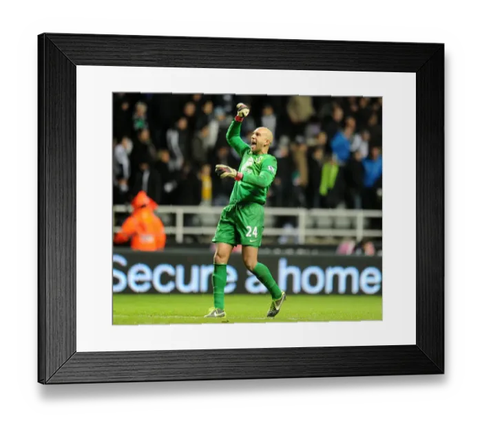 Framed Print : Tim Howard's Triumph: Everton's Thrilling 2-1 Victory at Newcastle United (BPL, 2013) Framed Print : Tim Howard's Triumph: Everton's Thrilling 2-1 Victory at Newcastle United (BPL, 2013)