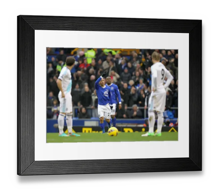 Framed Print : Evertons Steven Pienaar (centre) celebrates after scoring his teams opening goal Framed Print : Evertons Steven Pienaar (centre) celebrates after scoring his teams opening goal