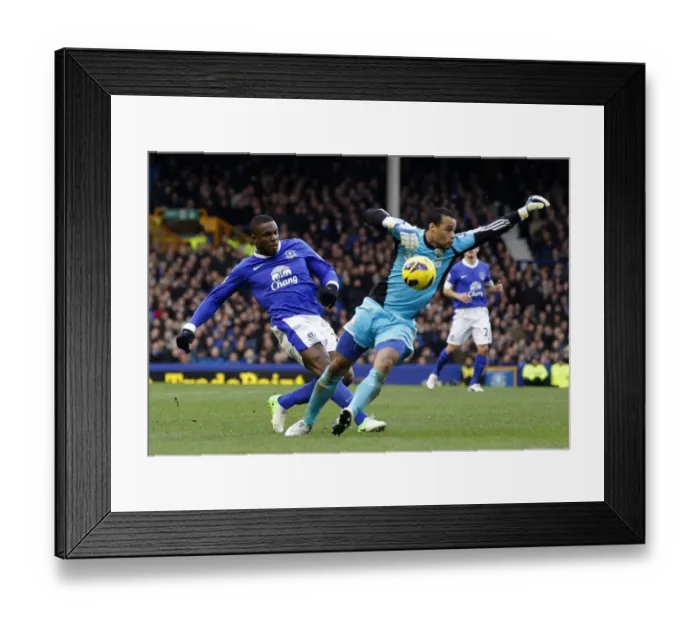 Framed Print : Barclays Premier League - Everton v Swansea City - Goodison Park Framed Print : Barclays Premier League - Everton v Swansea City - Goodison Park