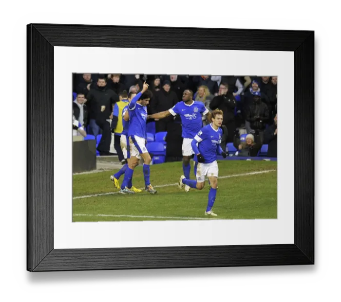Framed Print : Marouane Fellaini's Hat-Trick Thrills in Everton's 3-3 Draw Against Aston Villa (Barclays Premier League) Framed Print : Marouane Fellaini's Hat-Trick Thrills in Everton's 3-3 Draw Against Aston Villa (Barclays Premier League)