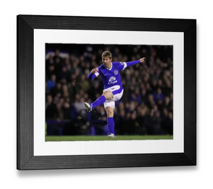 Framed Print : Thomas Hitzlsperger's Battle: Everton vs Arsenal - A Dramatic Draw at Goodison Park (28-11-2012)