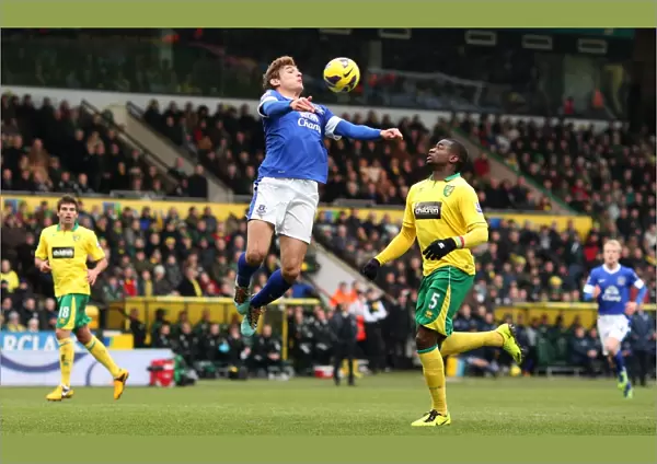 Jelavic's Determined Strike: Everton vs. Norwich City, Premier League