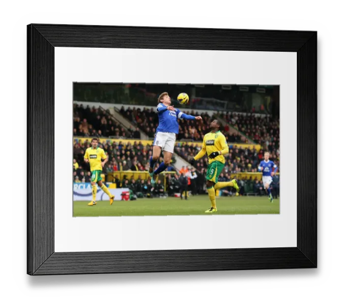 Framed Print : Jelavic's Determined Strike: Everton vs. Norwich City, Premier League Framed Print : Jelavic's Determined Strike: Everton vs. Norwich City, Premier League