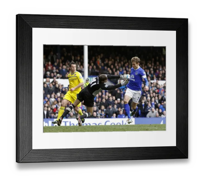 Framed Print : Jelavic's Thrilling Goal: Everton vs. Reading, Barclays Premier League (3-1) Framed Print : Jelavic's Thrilling Goal: Everton vs. Reading, Barclays Premier League (3-1)