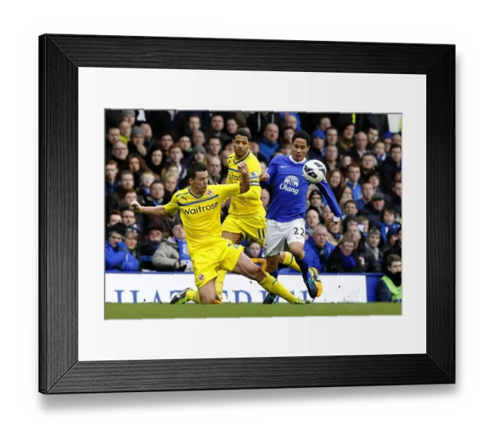 Framed Print : Battle for the Ball: Steven Pienaar vs. Ian Harte - Everton's Triumph (3-1 over Reading, Goodison Park, 02-03-2013) Framed Print : Battle for the Ball: Steven Pienaar vs. Ian Harte - Everton's Triumph (3-1 over Reading, Goodison Park, 02-03-2013)