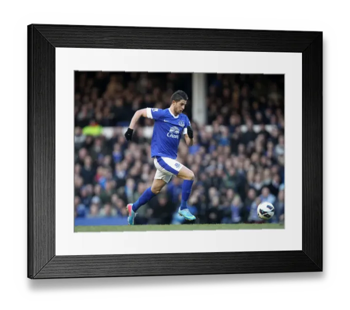 Framed Print : Mirallas's Strike: Everton's 1-0 Victory Over Stoke City (March 30, 2013) Framed Print : Mirallas's Strike: Everton's 1-0 Victory Over Stoke City (March 30, 2013)