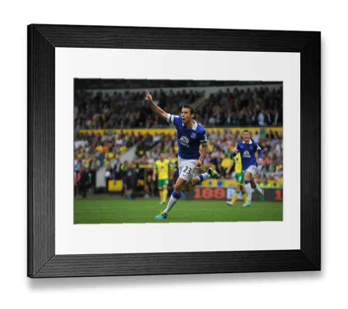 Framed Print : Seamus Coleman's Double: Thrilling 2-2 Draw at Norwich City (August 17, 2013) Framed Print : Seamus Coleman's Double: Thrilling 2-2 Draw at Norwich City (August 17, 2013)