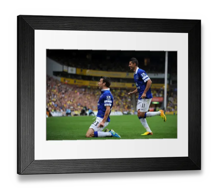 Framed Print : Barclays Premier League - Norwich City v Everton - Carrow Road Framed Print : Barclays Premier League - Norwich City v Everton - Carrow Road