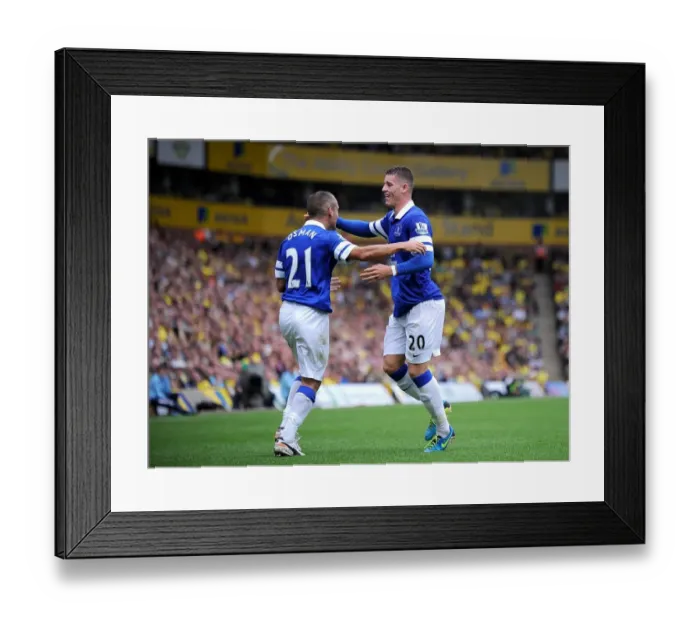 Framed Print : Dramatic Equalizer: Ross Barkley's Thrilling Goal for Everton at Carrow Road (August 17, 2013) Framed Print : Dramatic Equalizer: Ross Barkley's Thrilling Goal for Everton at Carrow Road (August 17, 2013)