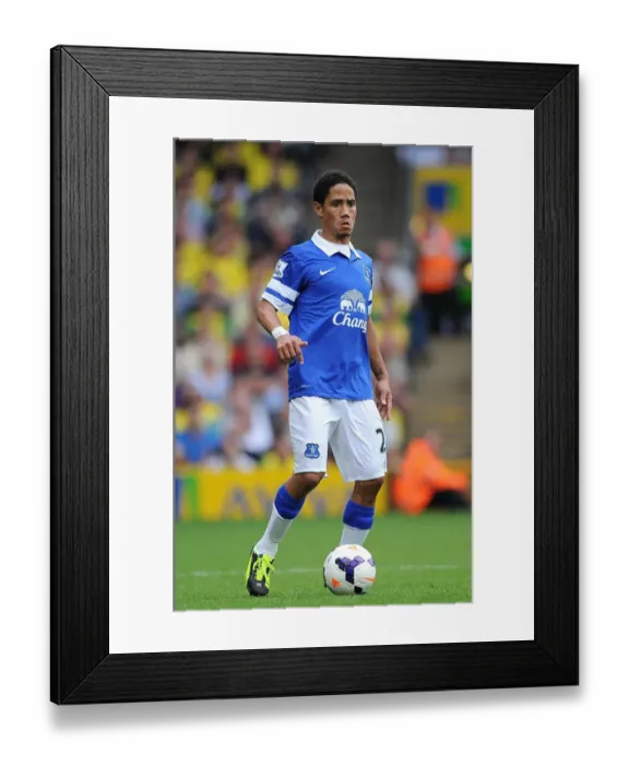 Framed Print : Steven Pienaar's Dramatic Performance: Everton's Thrilling 2-2 Draw at Norwich City, August 2013