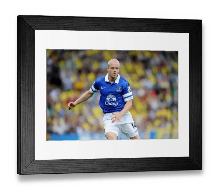 Framed Print : Naismith's Dramatic Comeback: Norwich City 2-2 Everton (Premier League, August 17, 2013)