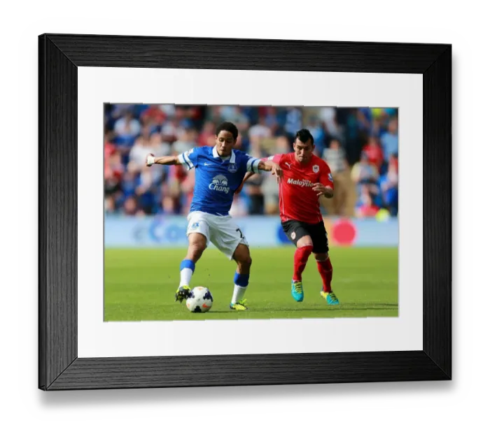 Framed Print : Battle for the Ball: Pienaar vs. Medel - Everton vs. Cardiff City, Premier League (31-08-2013)