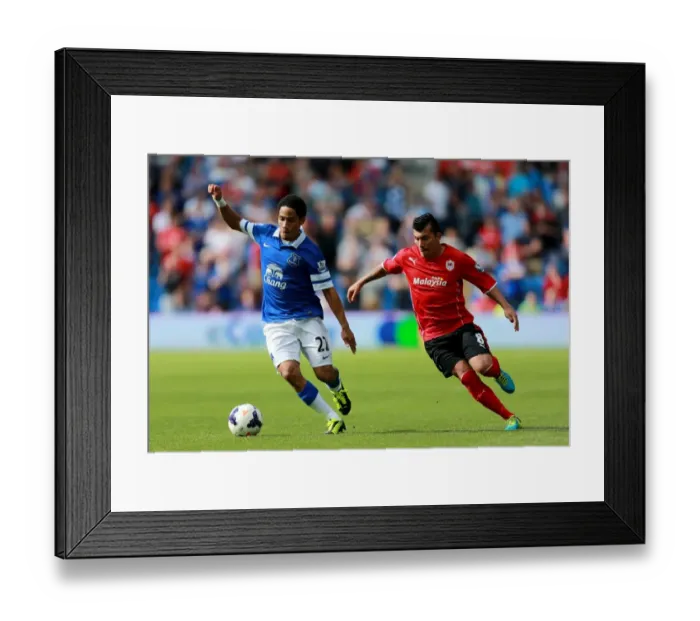 Framed Print : Battle for the Ball: Pienaar vs Medel - Cardiff City vs Everton, Premier League (31-08-2013) Framed Print : Battle for the Ball: Pienaar vs Medel - Cardiff City vs Everton, Premier League (31-08-2013)
