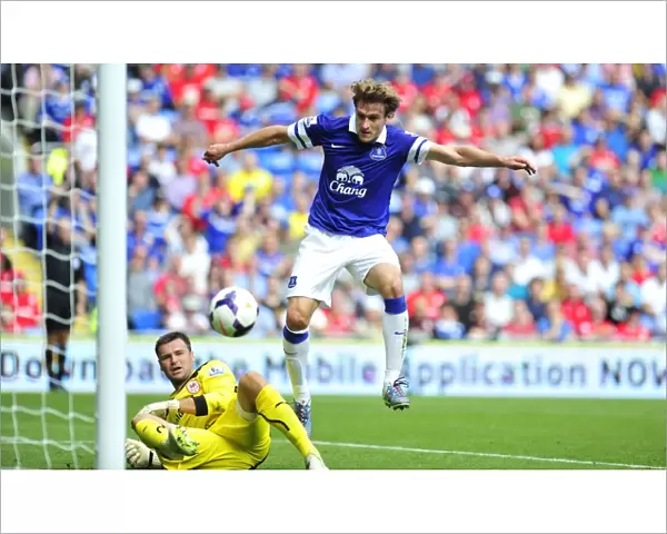 David Marshall vs. Nikica Jelavic: A Battle of the Strikers at Cardiff City Stadium - Everton vs. Cardiff City, Barclays Premier League (31-08-2013)