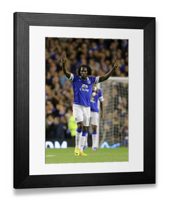 Framed Print : Romelu Lukaku's Triple: Everton's Comeback Win Against Newcastle United (3-2, Barclays Premier League, Goodison Park, 30-09-2013) Framed Print : Romelu Lukaku's Triple: Everton's Comeback Win Against Newcastle United (3-2, Barclays Premier League, Goodison Park, 30-09-2013)