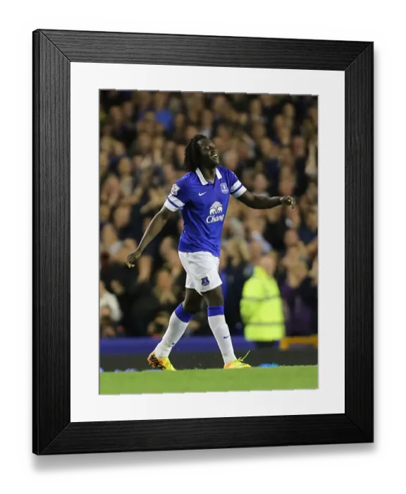 Framed Print : Romelu Lukaku's Hat-Trick: Everton's Thrilling 3-2 Victory Over Newcastle United in the Premier League (September 30, 2013) Framed Print : Romelu Lukaku's Hat-Trick: Everton's Thrilling 3-2 Victory Over Newcastle United in the Premier League (September 30, 2013)