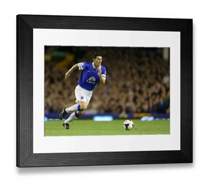 Framed Print : Gareth Barry Scores the Winning Goal: Everton's 3-2 Triumph over Newcastle United at Goodison Park (BPL 2013) Framed Print : Gareth Barry Scores the Winning Goal: Everton's 3-2 Triumph over Newcastle United at Goodison Park (BPL 2013)