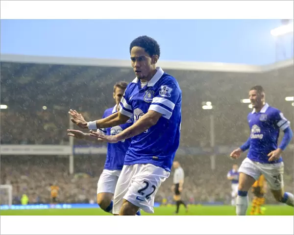 Steven Pienaar's Double: Everton's Triumph Over Hull City in the Barclays Premier League (19-10-2013)