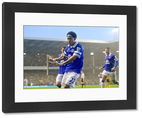 Steven Pienaar's Double: Everton's Triumph Over Hull City in the Barclays Premier League (19-10-2013)