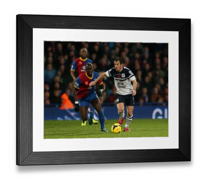 Framed Print : Barclays Premier League - Crystal Palace v Everton - Selhurst Park Framed Print : Barclays Premier League - Crystal Palace v Everton - Selhurst Park