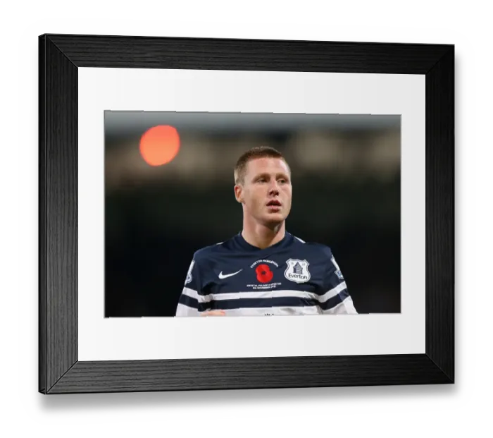 Framed Print : James McCarthy in Action: Crystal Palace vs Everton (09-11-2013) Framed Print : James McCarthy in Action: Crystal Palace vs Everton (09-11-2013)
