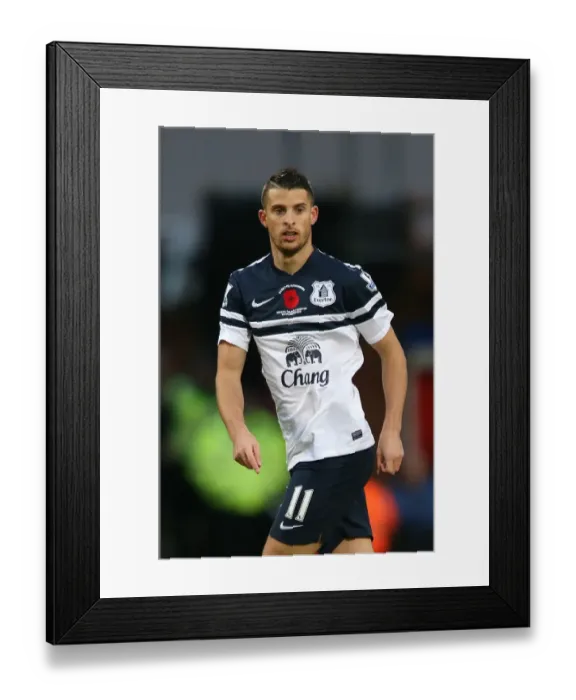 Framed Print : A Stalemate at Selhurst Park: Crystal Palace vs Everton - Kevin Mirallas Performance (09-11-2013) Framed Print : A Stalemate at Selhurst Park: Crystal Palace vs Everton - Kevin Mirallas Performance (09-11-2013)