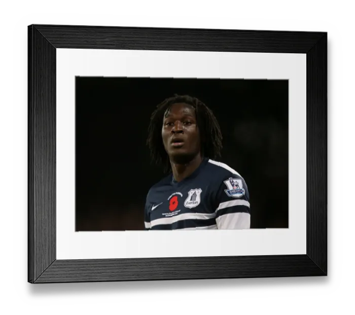 Framed Print : 09-11-2013: A Determined Romelu Lukaku Holds Everton to a Stalemate at Crystal Palace (Barclays Premier League) Framed Print : 09-11-2013: A Determined Romelu Lukaku Holds Everton to a Stalemate at Crystal Palace (Barclays Premier League)