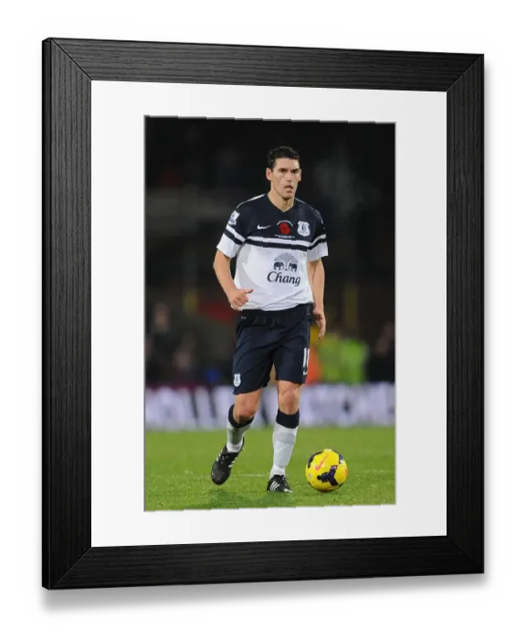 Framed Print : Gareth Barry's Leading Performance: Crystal Palace vs. Everton - Barclays Premier League (09-11-2013) (0 v 0, Selhurst Park) Framed Print : Gareth Barry's Leading Performance: Crystal Palace vs. Everton - Barclays Premier League (09-11-2013) (0 v 0, Selhurst Park)