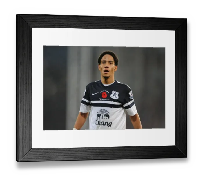 Framed Print : Steven Pienaar Faces Off in Scoreless Barclays Premier League Clash Against Crystal Palace at Selhurst Park (09-11-2013) Framed Print : Steven Pienaar Faces Off in Scoreless Barclays Premier League Clash Against Crystal Palace at Selhurst Park (09-11-2013)