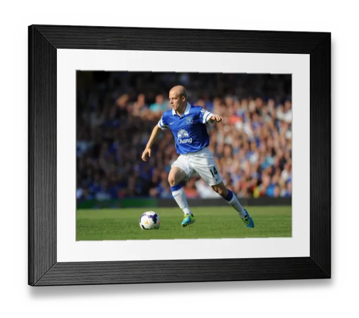 Framed Print : Steven Naismith's Stalemate: Everton vs West Bromwich Albion, Barclays Premier League, Goodison Park (24-08-2013)