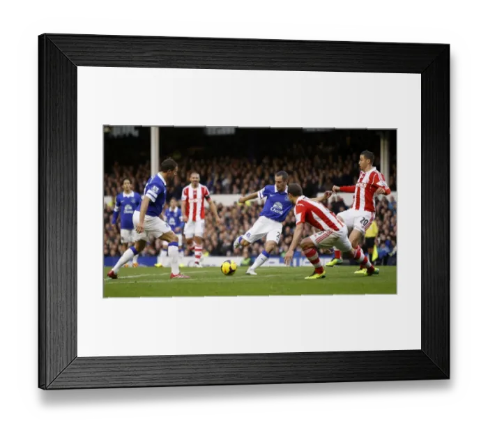 Framed Print : Leon Osman Scores for Everton Against Stoke City in Premier League: Everton 4-0 Stoke, Goodison Park, November 30, 2013