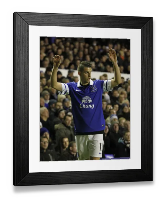 Framed Print : Mirallas Signals for Corner Amidst Everton's Celebrations: Everton 4-1 Fulham (December 14, 2013, Barclays Premier League)