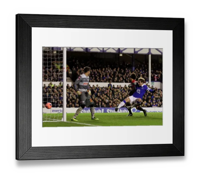 Framed Print : Jelavic's Hat-trick: Everton Crushes Queens Park Rangers 4-0 in FA Cup Third Round (04-01-2014) Framed Print : Jelavic's Hat-trick: Everton Crushes Queens Park Rangers 4-0 in FA Cup Third Round (04-01-2014)